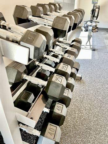 Free weights
